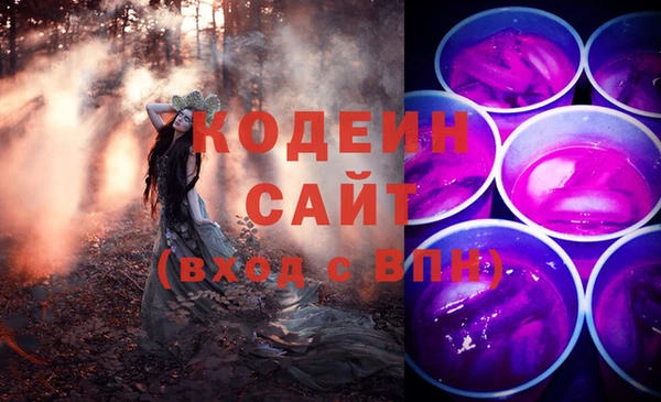ГАЛЛЮЦИНОГЕННЫЕ ГРИБЫ Гусь-Хрустальный