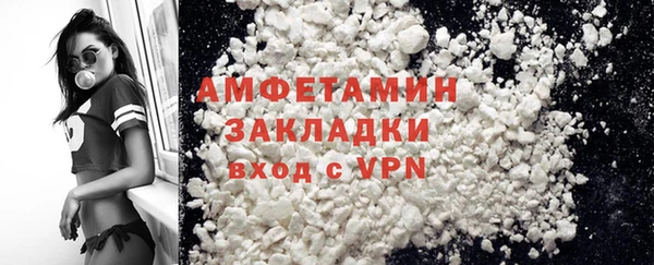 ГАЛЛЮЦИНОГЕННЫЕ ГРИБЫ Гусь-Хрустальный