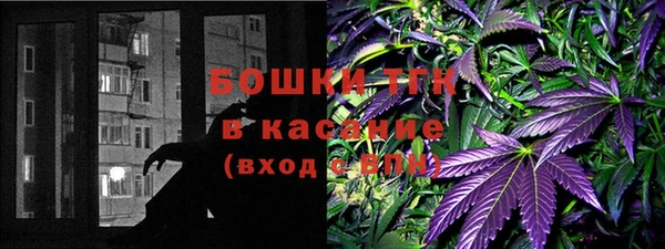 ГАЛЛЮЦИНОГЕННЫЕ ГРИБЫ Гусь-Хрустальный