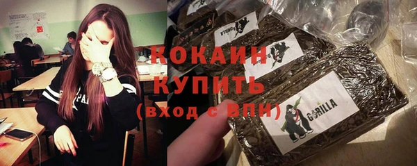 ГАЛЛЮЦИНОГЕННЫЕ ГРИБЫ Гусь-Хрустальный