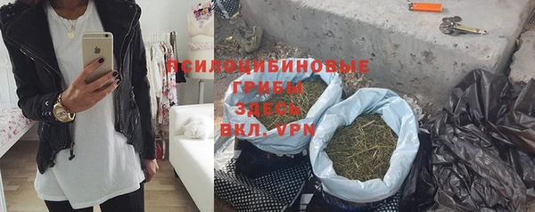 мяу мяу мука Гусиноозёрск
