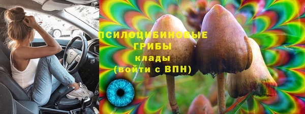 мяу мяу мука Гусиноозёрск